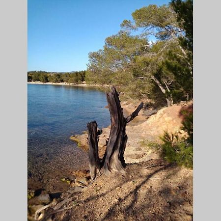 Face Mer Entre Plage Et Marina Борм-ле-Мимоза Экстерьер фото