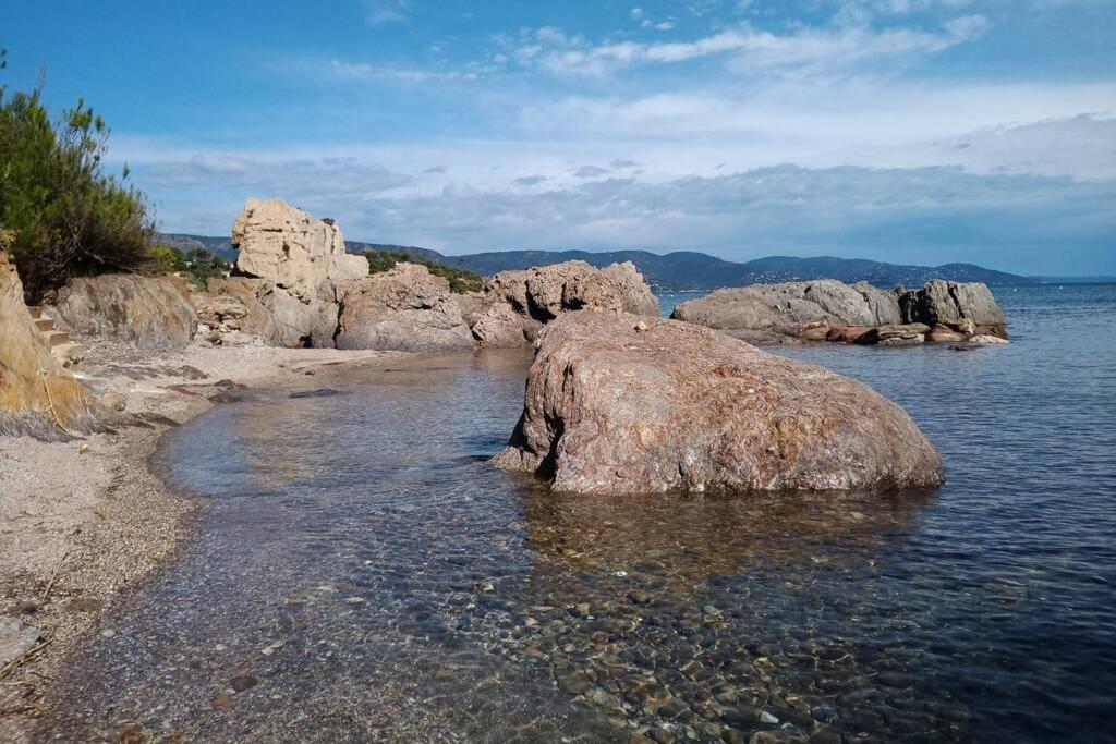 Face Mer Entre Plage Et Marina Борм-ле-Мимоза Экстерьер фото